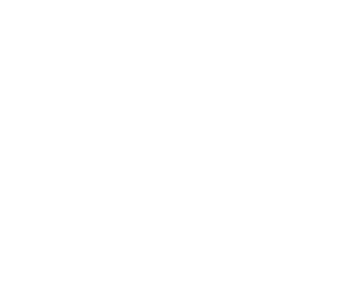 fibra optica de alta velocidad